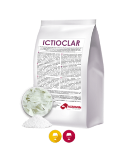Ictioclar gelatina din peste