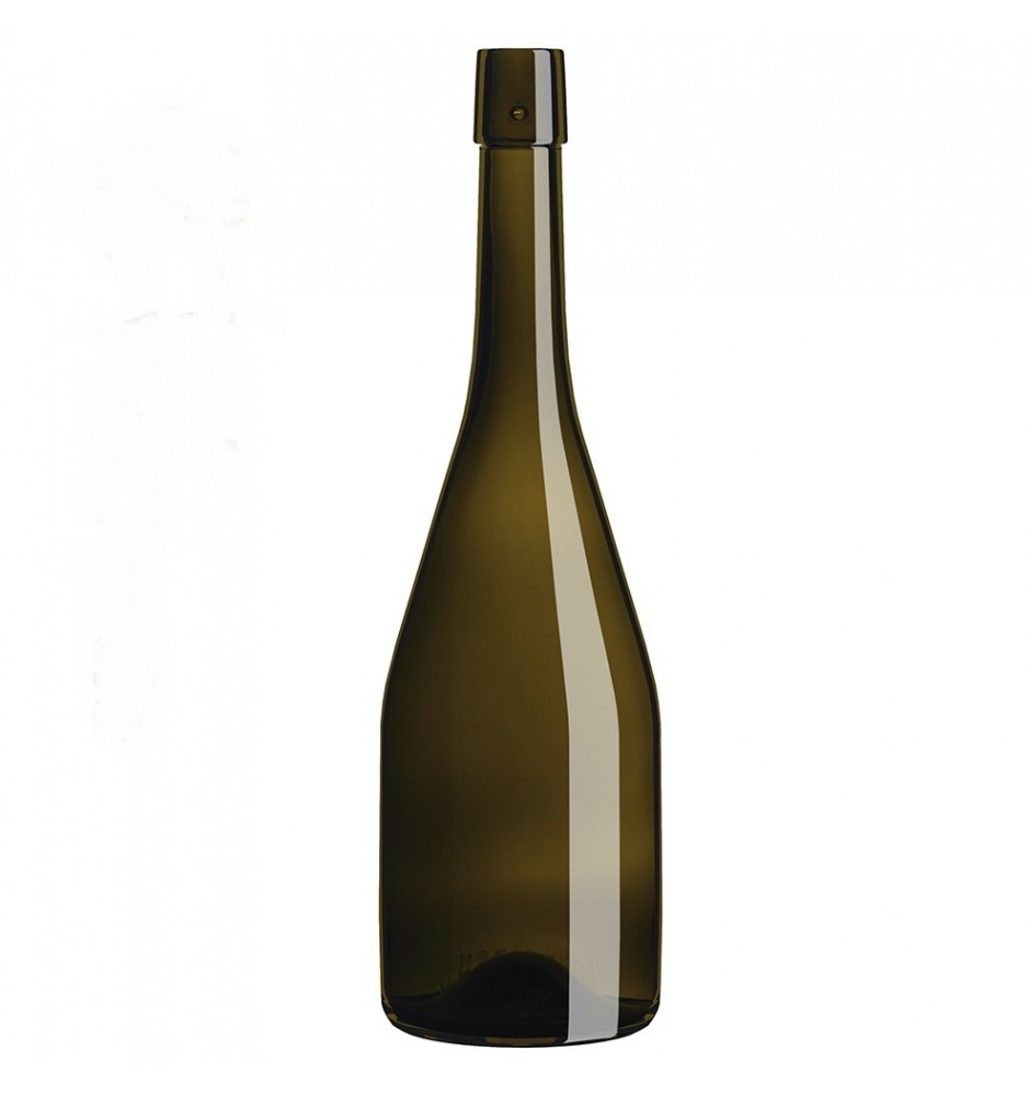 Sticla Champagne H