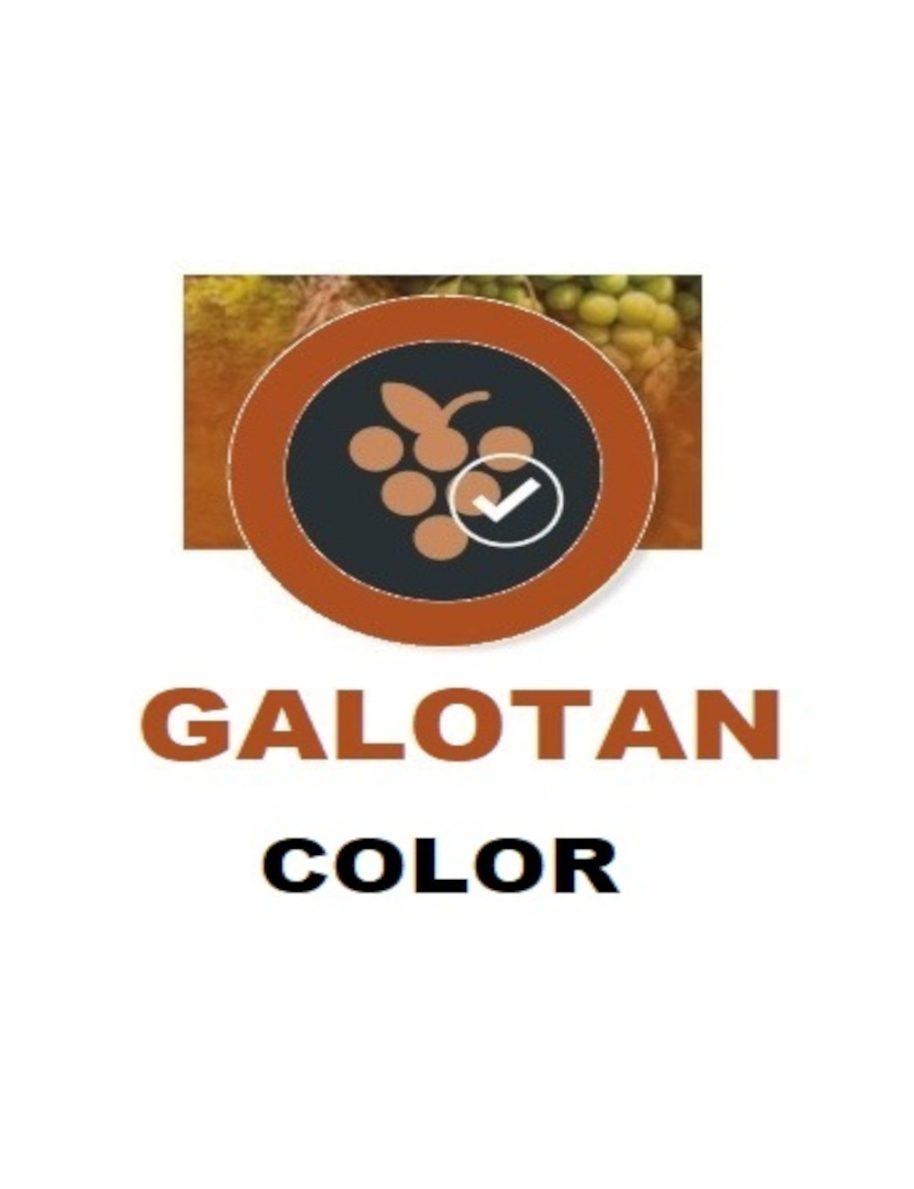Galo - Galotan Color